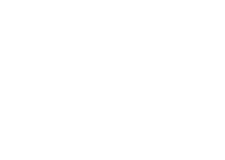 OCTO